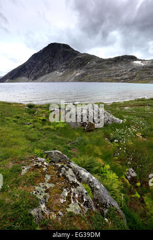 Blick über den See Djupvatnet, in der Nähe von Geiranger entfernt, UNESCO Weltkulturerbe, Sunnmøre Region, Møre Og Romsdal Grafschaft, Norwegen Stockfoto