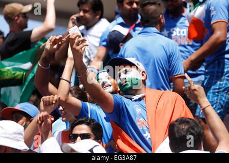 Indische Cricket-Fans jubeln indische Team während ein Cricket-match Stockfoto