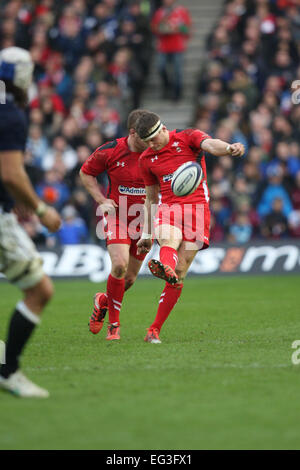 Edinburgh, Schottland. 15. Februar 2015. 6 Nations Championship. Schottland gegen Wales. Wales Dan Biggar. Bildnachweis: Aktion Plus Sport/Alamy Live-Nachrichten Stockfoto