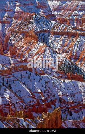 Schnee bedeckt Cedar Breaks National Monument in Utah im Herbst. USA Stockfoto