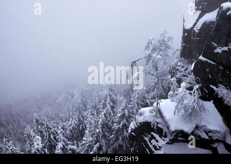 Schnee bedeckt und neblig felsigen Berghang - geschichteten Pinien Wald verschwinden im Nebel Stockfoto