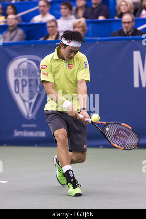 Memphis, TN, USA. 15. Februar 2015. Memphis, TN - Februar 15: Kei Nishikori(JPN) in Aktion hier besiegt Kevin Anderson(RSA) 64 64 bei den 2015 Memphis Open in Memphis, Tennesse. Fotograf Andreas Patron. Bildnachweis: Andrew Patron/ZUMA Draht/Alamy Live-Nachrichten Stockfoto