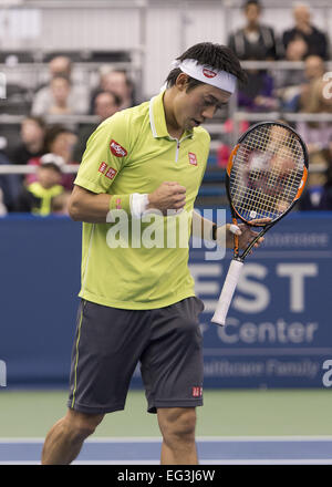 Memphis, TN, USA. 15. Februar 2015. Memphis, TN - Februar 15: Kei Nishikori(JPN) in Aktion hier besiegt Kevin Anderson(RSA) 64 64 bei den 2015 Memphis Open in Memphis, Tennesse. Fotograf Andreas Patron. Bildnachweis: Andrew Patron/ZUMA Draht/Alamy Live-Nachrichten Stockfoto