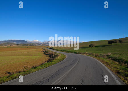 Landstraße über Winter Ackerland, Campo de Kamera, in der Nähe von Almogia, Provinz Malaga, Andalusien, Andalucia, Spanien Stockfoto