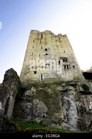 Norden Wand Blarney Schloss Kork Wahrzeichen Gärten Irland irische König von Munster mittelalterlichen Burgen RM Irland Stockfoto