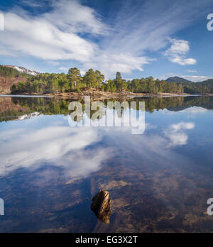 Wälder spiegelt sich in den stillen Wassern des Loch Beinn ein Mheadhoin, Glen Affric, Highland, Schottland Stockfoto