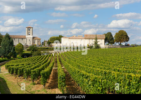 Weingut Chateau Canon, Premier Grand Cru Classe B (Klassifizierung von Saint Emilion Wein als erste große Gewächse), AOC Saint E Stockfoto