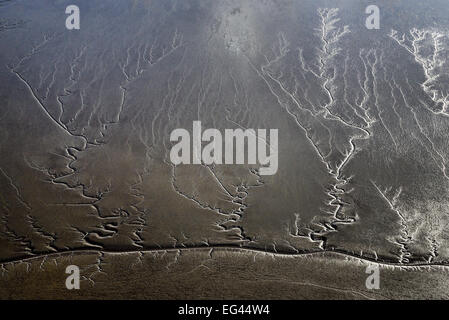 Luftaufnahme, Flusslandschaft mit Gezeiten Kanäle und Brackwasser Wattenmeer, Süßwasser Wattenmeer am Mühlenberger Loch, Unterelbe Fluss Stockfoto