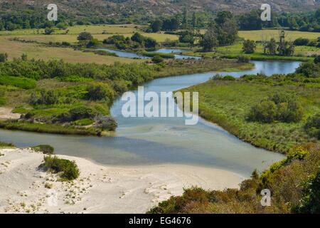 Mündung des Flusses Ostriconi in Calvi, Corse-du-Sud, Korsika, Frankreich Stockfoto