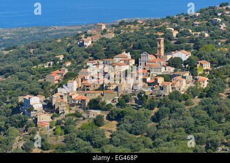 Das Bergdorf von Aregno, Balagne, Haute-Corse, Korsika, Frankreich Stockfoto