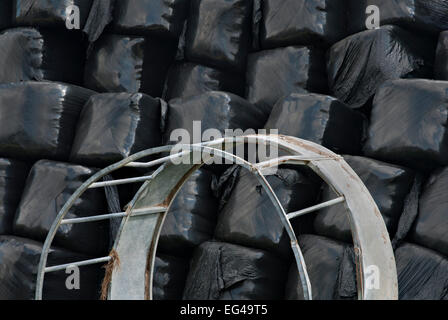 Rinder-Feeder und umwickelte Silage bails Stockfoto