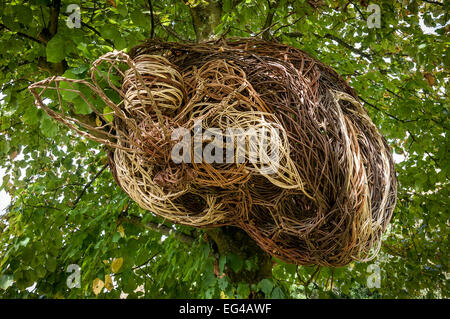 Geflochtene Weide Wespennest am Lymefield im Dorf Broadbottom, England. Stockfoto