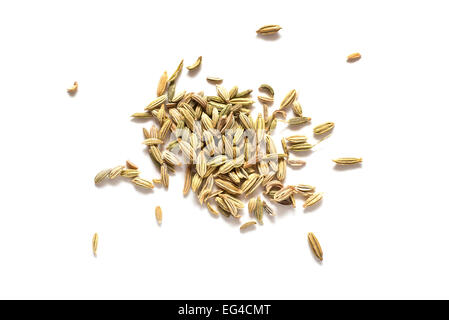 Fenchelsamen isoliert auf weißem Hintergrund Stockfoto