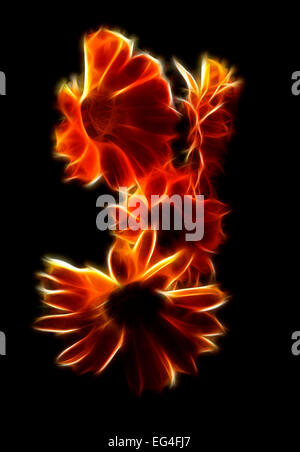 Abstract orange Fraktale Calendula Blume Tapete schwarzer Hintergrund Stockfoto