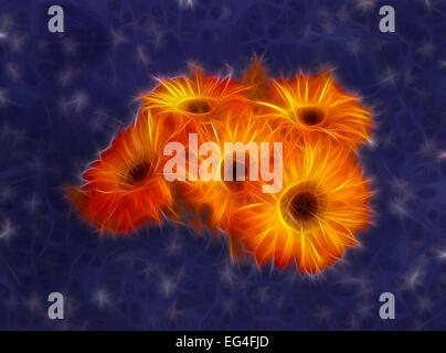 Abstract orange Fraktale Calendula Blume Tapete auf blauem Hintergrund Stockfoto