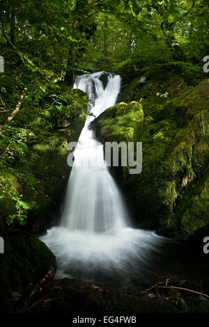 Stock Ghyll Kraft, Ambleside, Cumbria Seenplatte Stockfoto