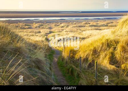 Fußweg durch Dünengebieten Rasen bedeckt Sanddünen Solway Küste. Solway Cumbria England UK Stockfoto
