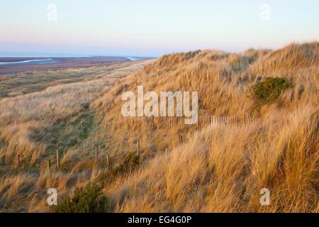 Fußweg durch Dünengebieten Rasen bedeckt Sanddünen Solway Küste. Solway Cumbria England UK Stockfoto