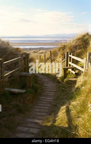 Fuß Weg Stile Dünengebieten Gras bedeckt Sanddünen Solway Küste. Solway Cumbria England UK Stockfoto