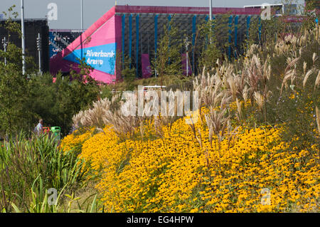 Blumen und Gräser im Olympic Park Riverbank Arena, London, England Stockfoto