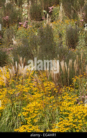 Blumen und Gräser im Olympic Park Riverbank Arena, London, England Stockfoto