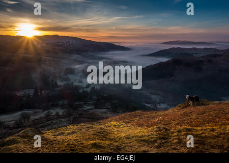 Schöne dramatische ländliche Ansicht von misty Ambleside, über dem Nebel auf der Fairfield Hufeisen in der Dämmerung, Sonnenaufgang im englischen Lake District, England, Großbritannien Stockfoto