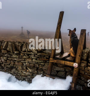 Mann, war Memorial auf Buckden Hecht im Winter mit Hund auf der Suche nach Stil, Yorkshire Dales, North Yorkshire, England, Großbritannien Stockfoto