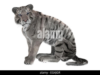 Digitale 3D Rendern eines sitzenden weißen Tigers isoliert auf weißem Hintergrund Stockfoto