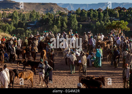 Der Samstag Viehmarkt In Lalibela, Äthiopien Stockfoto