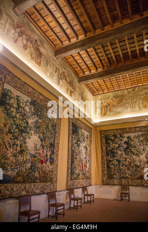 Reggia di Venaria Reale, Savoy royal Palace, Turin, Italien Stockfoto