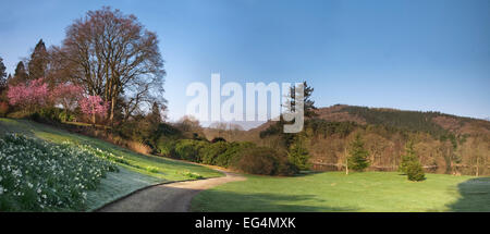 Fiel Fuß Park blühen, Newby Bridge, Windermere, Lake District, Cumbria, England UK Stockfoto