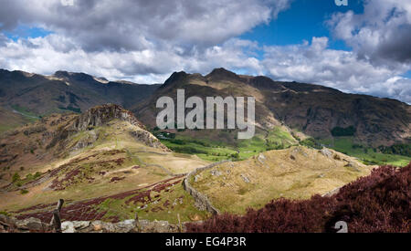 Langdale Pikes aus Lingmoor fiel, Lake District, Cumbria, England UK Stockfoto