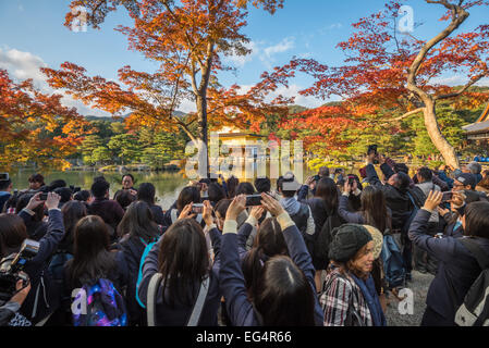 KYOTO, JAPAN - 18. November 2014: Touristenmassen vor goldenen Pavillon, hohe Saison, Kyoto, Japan Stockfoto