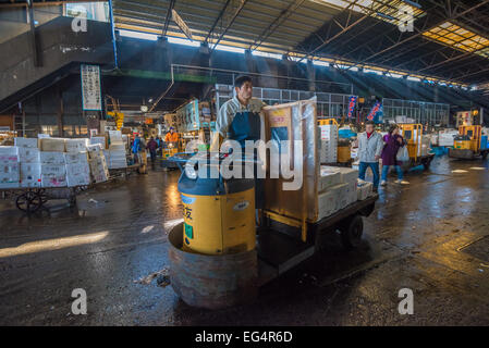 TOKYO, JAPAN - 22. November 2014: Ein Mann fahren Taretto, motorisierte Fracht Wagen am Tsukiji, die größten Fische und Meeresfrüchte-Markt Stockfoto