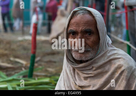 Mahout, Sonepur Mela Stockfoto