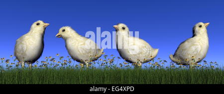 Vier Küken auf der Wiese mit Blumen von Tag - 3D render Stockfoto