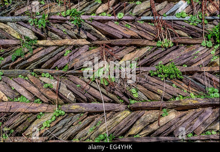 Umgebenden Wand, strukturierte Effekt, Zaun, Jäten, Unkraut, Pflanze, Stapel, gestreift, Stein, Hintergrund Stockfoto