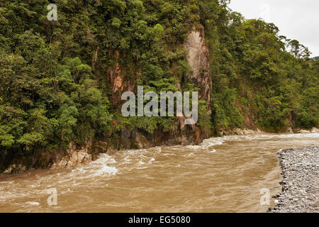 Gebirgsfluss in den Dschungel, Flut nach dem Regen, den Lehm-Fluss Stockfoto