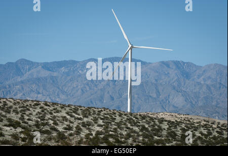 Palm Springs, Kalifornien, USA. 14. Februar 2015. Der San Gorgonio Windpark, das älteste in den Vereinigten Staaten begann in den 1980er Jahren nutzt eine Venturi-Effekt von Winden zwischen Mount San Gorgonio und Mount San Jacinto, die Geschwindigkeit von 80 km/h erreichen können. Die 2700 Windkraftanlagen befindet sich auf der San Gorgonio Wind Farm produziert Strom für rund 300.000 Haushalte. © David Bro/ZUMA Draht/Alamy Live-Nachrichten Stockfoto