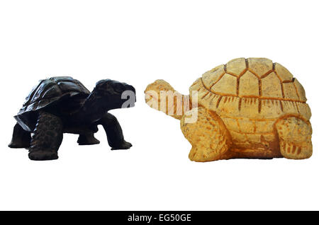 Schildkröte Turtle mit Meeresschildkröten Figur Stockfoto