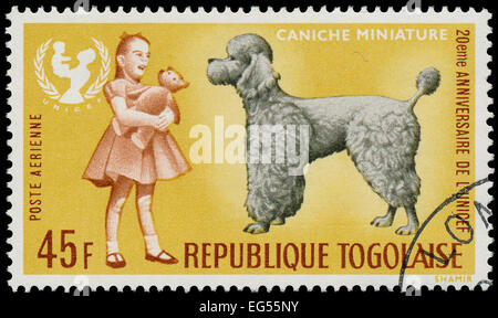 TOGO - CIRCA 1967: Eine Briefmarke gedruckt von Togo, zeigt der 20. Jahrestag der UNICEF und Miniatur-Caniche Hund, ca. 1967 Stockfoto