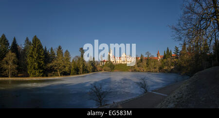 Prag, Schloss Pruhonice mit Teich Panorama Winter anzeigen Stockfoto