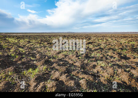 Gepflügtes landwirtschaftliche Sichthilfe im frühen Frühling Stockfoto