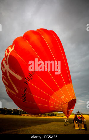 Teamarbeit Vorbereitung für Tethered Heißluftballon im Feld, South Oxfordshire, England Stockfoto