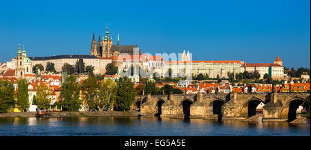 St. Veits Kathedrale und der Prager Burg