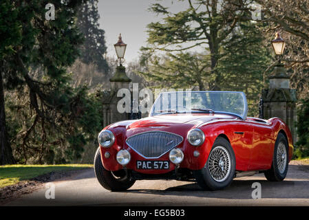 Austin Healey 100M britischen Sportwagen aus den 50er Jahren Stockfoto