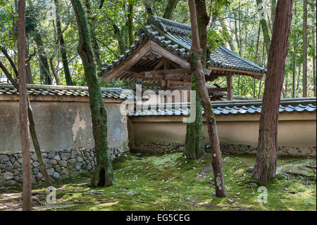 Der Boden ist dick mit Moos bepflanzt in den Waldgärten des Saiho-JI Zen Tempels (Koke-dera, der Moostempel) aus dem 14. Jahrhundert in Kyoto, Japan. Stockfoto