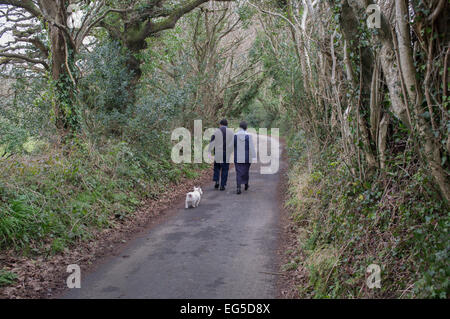 Ein paar mittleren Alters Spaziergang entlang einer Landstraße in Cornwall, UK Stockfoto