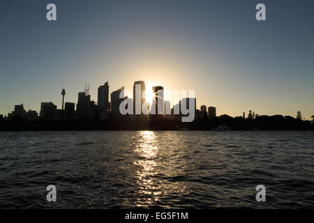 Ein Foto von einige Hochhäuser in Sydney, Australien, wie aus dem Botanischen Garten im Hafen von Sydney zu sehen. Stockfoto