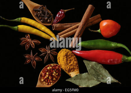 Kräuter und Gewürze - schwarzer Hintergrund Stockfoto